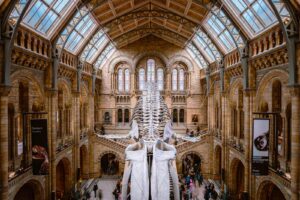 18 Best Museums in London You Have to See in 2023