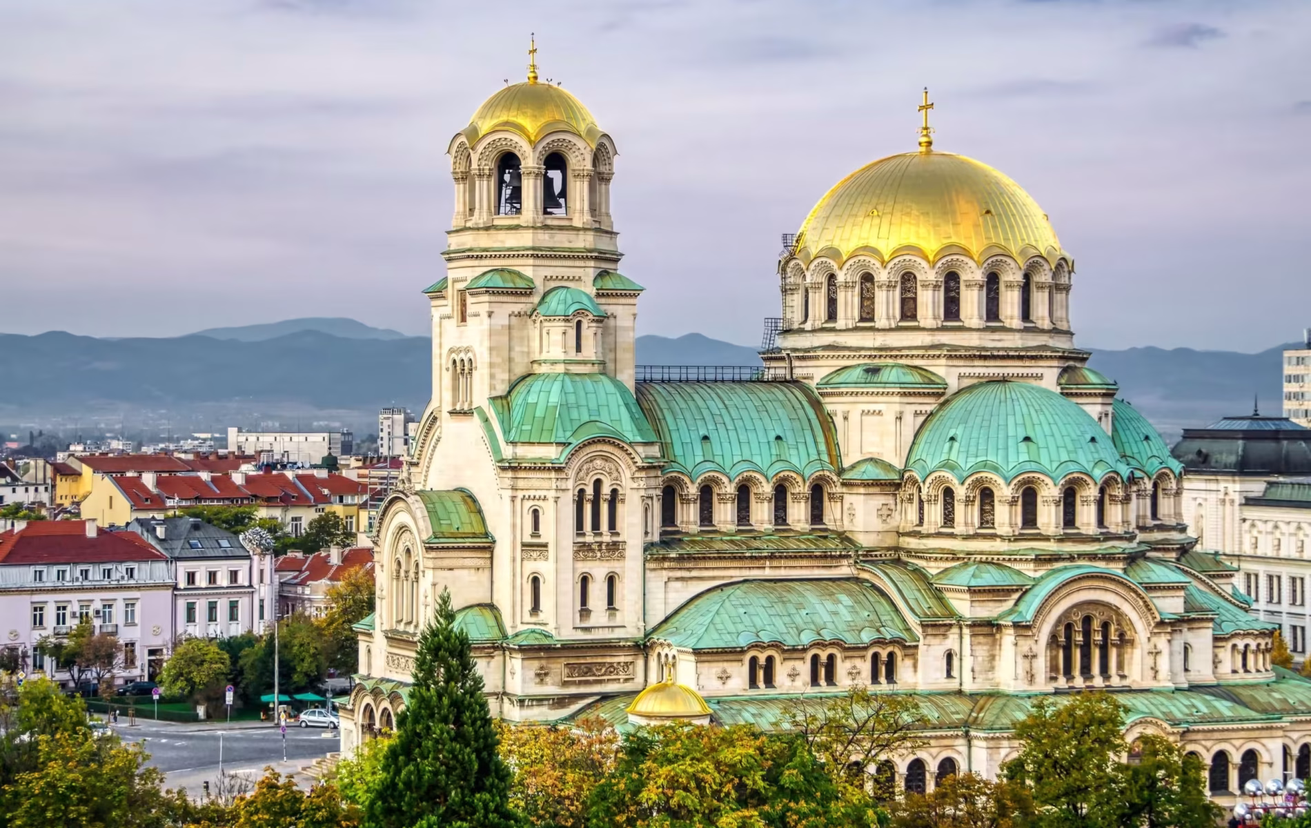 sofia